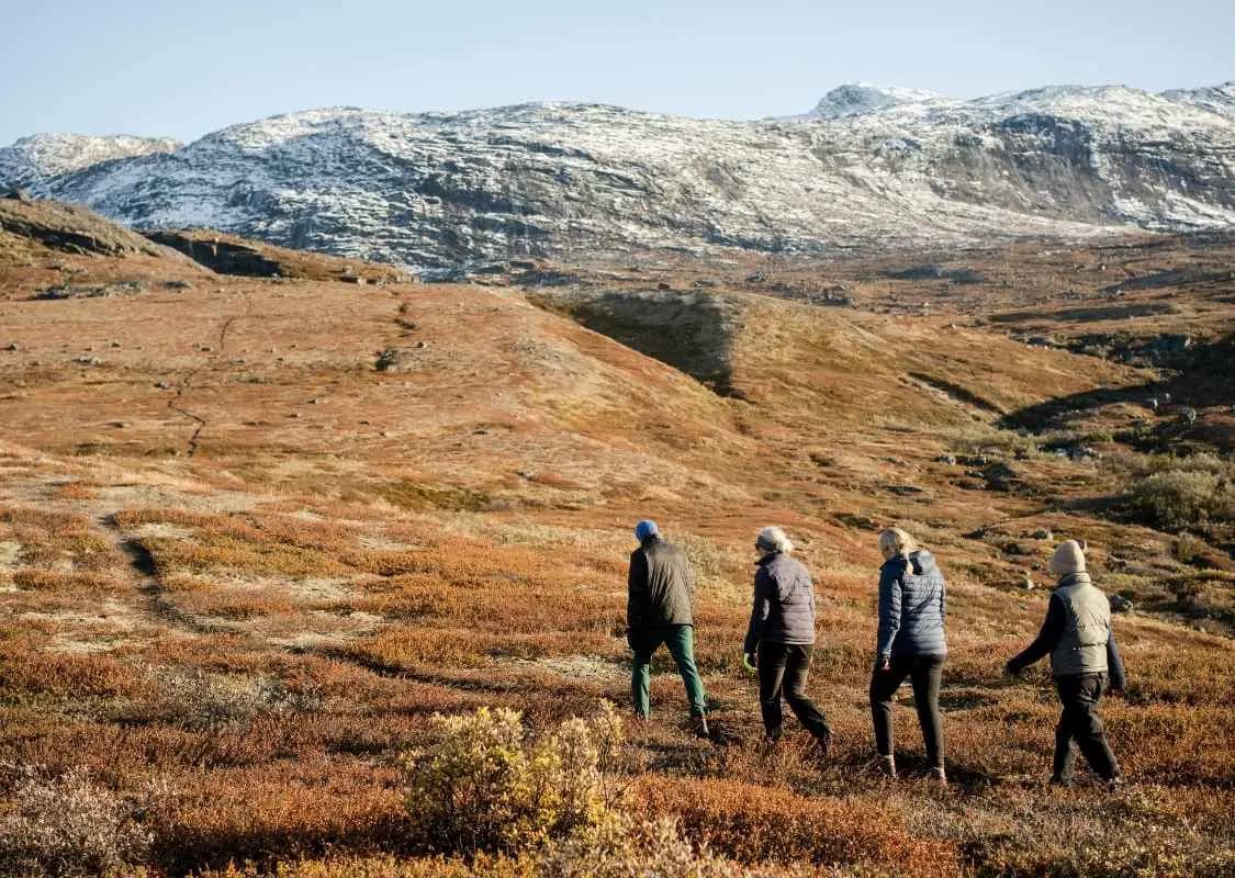 Design Uden Navn (5)